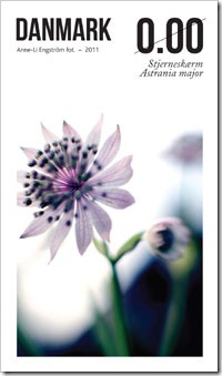 denmark-flowers-04