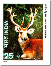 Indian Stamp On Swamp Deer