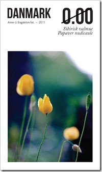 denmark-flowers-03